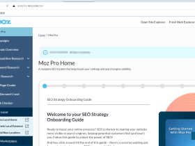 Moz.com 正版账号共享 Moz Pro 一体化 SEO 工具包 老牌专业SEO工具网站