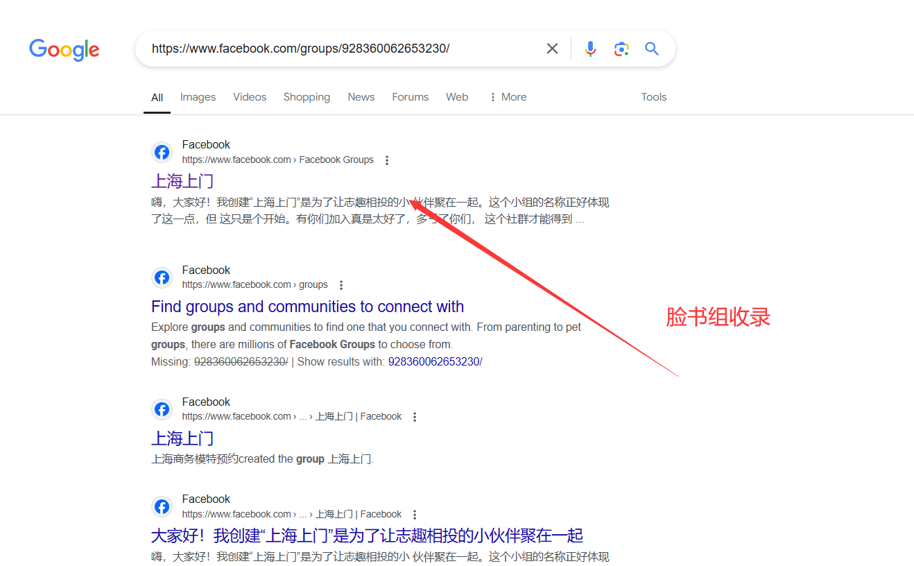 谷歌强制收录大师-可快速收录x平台 telegram 脸书等账号及群组帖子及网站内容-图片5