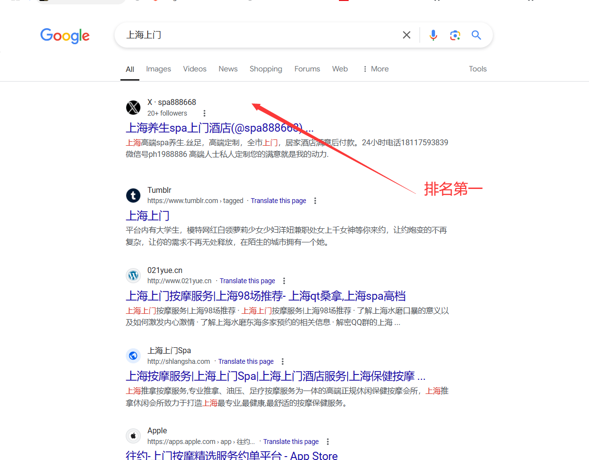 谷歌强制收录大师-可快速收录x平台 telegram 脸书等账号及群组帖子及网站内容-图片6
